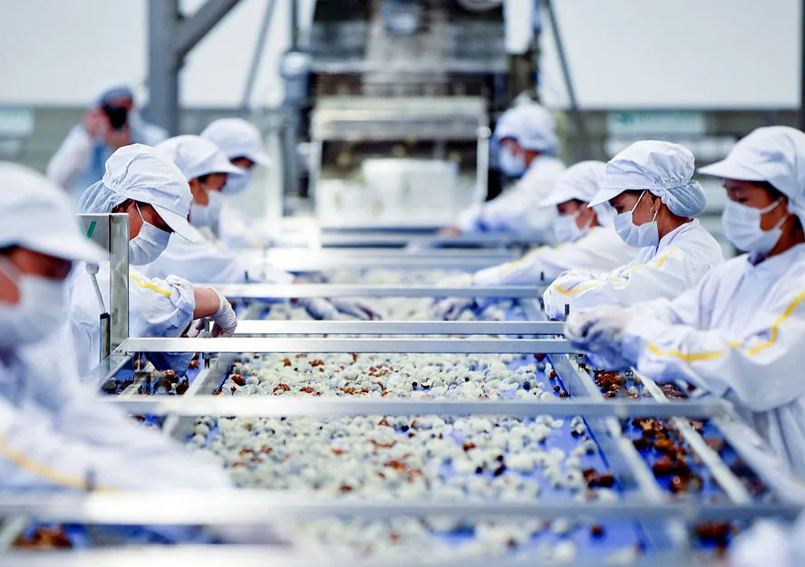 Các mặt hàng xuất khẩu sang Mỹ phổ biến từ Việt Nam