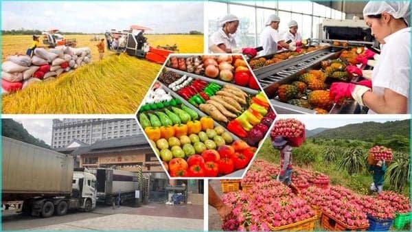 Nông sản Việt Nam xuất khẩu sang Nhật phổ biến