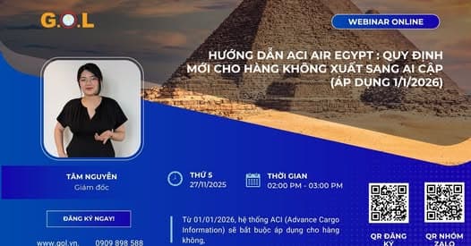 Hướng Dẫn Luật ACI Air Egypt Áp Dụng Từ 1/1/26 – Quy Định Mới Cho Hàng Không Xuất Sang Ai Cập