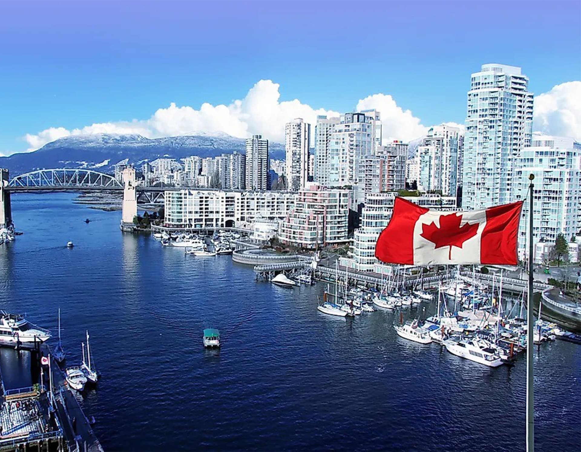 Khai Báo ACI Canada