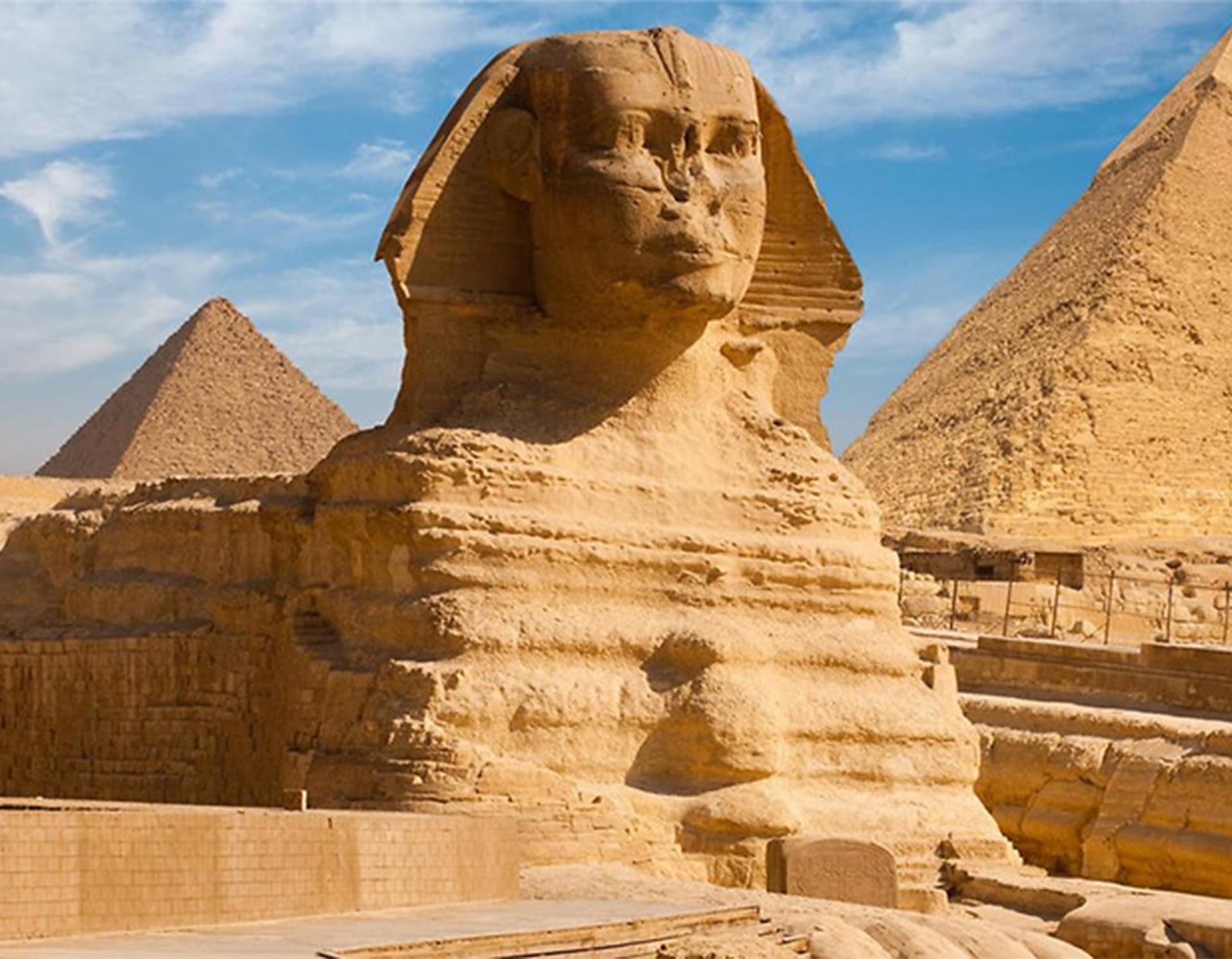 Khai Báo Ai Cập (ACI)