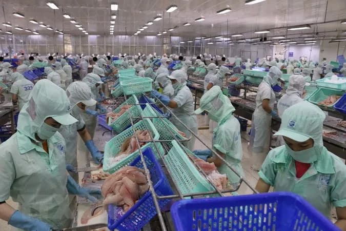 công nhân sơ chế thực phẩm xuất khẩu